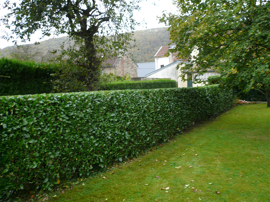 entretien jardin ardennes 08